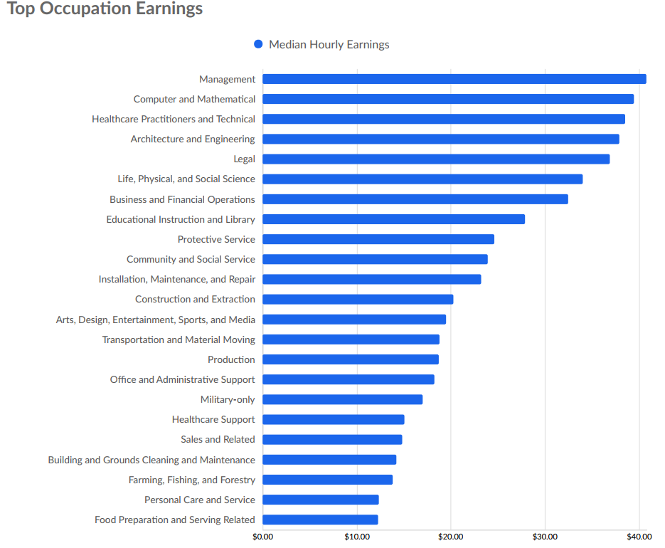 Top Occupation Earnings